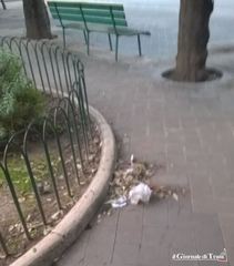 Aiuole e alloggiamenti degli alberi nella piazza centrale di Trani trasformati in cestini portarifiuti: la denuncia di un cittadino