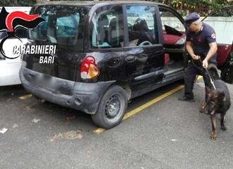 VIDEO. Il cane dei carabinieri fiuta e trova quasi un chilo di droga: arrestato 31 enne di Trani