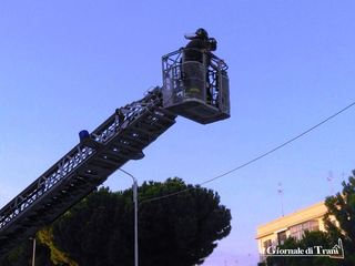 Trani, colombo incastrato fra i cavi della pubblica illuminazione: applausi per i vigili del fuoco giunti a liberarlo