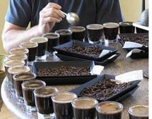 Parte a Trani il corso di 