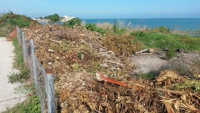 Residui di potatura in zona Mongelli, Di Gregorio: «I cittadini ci aiutino a scoprire chi sono i nemici di Trani»