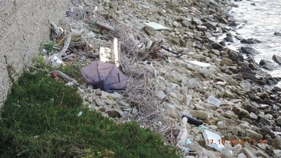 Degrado nelle vicinanze del castello svevo di Trani, la denuncia dell'associazione “Guardia eco-ambientale folgore”