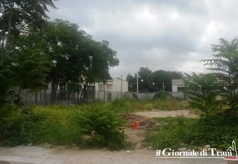 Orto sociale vicino alla 