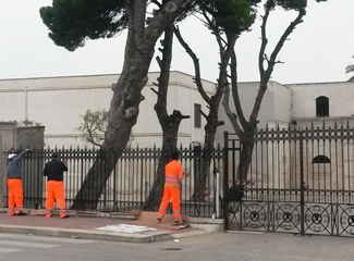Ponte di Ognissanti, orari e servizi estesi al cimitero di Trani. Oggi, la santa messa