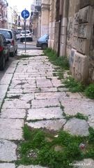 A Trani il verde è salvo: un nuovo “polmone” sta nascendo in via Mausoleo