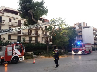 «Andavo piano, per questo mi sono salvato». Trani, il racconto dell'automobilista che si è visto piombare il ramo di pino a due metri da sé