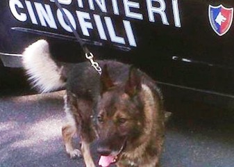 Ricerche finite dell'uomo scomparso a Trani: ritrovato il corpo senza vita nei pressi di via Barletta