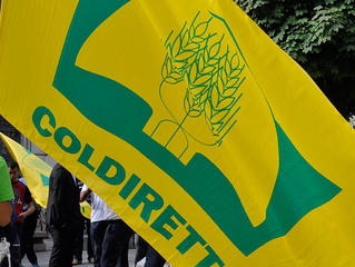 Oggi a Trani presso palazzo Palmieri Coldiretti fa il bilancio di un anno di attività