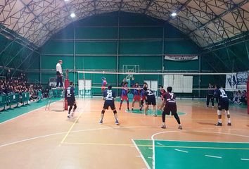 AGGIORNATO. Trani batte Terlizzi (3-1) e tanti disagi. Adriatica passa a Molfetta al quinto, Aquila 1-3 a Barletta ma è viva