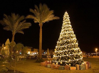 Alberi di Natale, avviso pubblico per collocarli in tre piazze: proposte entro martedì