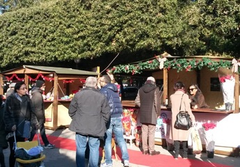 Natale di Trani, tutte le iniziative dell'Immacolata