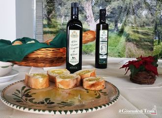 Che vita sarebbe senza olio? A «Frantoi aperti» brillano «Oro di Trani» e «Schinosa»