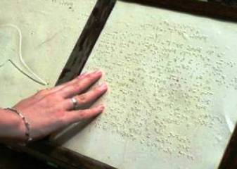 Difetti della vista, alla Bovio nuova fornitura di libri grazie alla Biblioteca italiana per ipovedenti