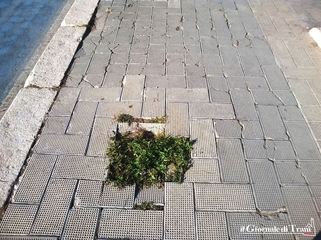 Trani, sul marciapiede del lungomare Colombo non c'è due senza tre: all'appello manca ancora una buca