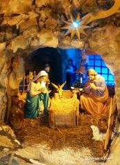 Natale di Trani, nuove prenotazioni di spesa: il conto si allunga a quasi 74mila euro