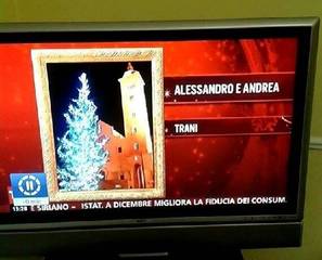 Uno degli alberi di Natale più belli d'Italia è a Trani: segnalato e piaciuto al Tg2