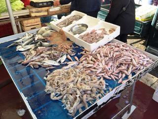 Vendita abusivo di pescato, ingenti sequestri della Guardia costiera. Interventi anche a Trani