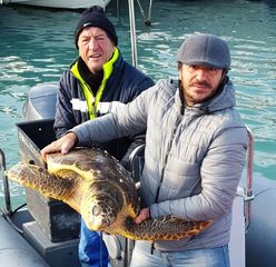 Tartarughe in difficoltà, questa volta la Lega navale di Trani ne salva una