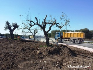 Trani-Andria, la Regione impegna 2 milioni: con quella somma si dovrebbe realizzare l'invocato ponte a metà strada