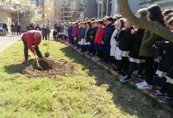 «Pace, impegno sociale e amore tra piccoli e adulti». Scuola Beltrani: un ulivo, tanti messaggi