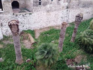 Fossato del castello, sul degrado Briguglio attacca Bottaro: «Troppa inerzia, così Trani turistica muore»