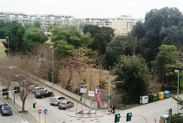 Un'area di sgambamento cani a Pozzopiano? De Simola (Pd Trani): «Realizzabile subito, e quasi a costo zero»