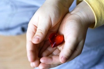 “Una scelta in Comune”: a distanza di un mese, a Trani, sono 17 i donatori di organi