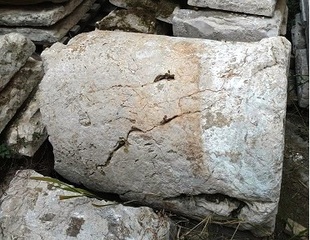 Trani e le colonne miliari della via Traiana, Cuccovillo (circolo Pertini): «Ne abbiamo poche, aiutateci a ritrovare le altre»