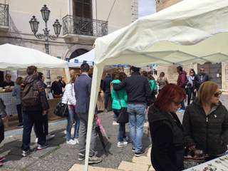 Pasquetta a Trani, il porto libero ne accresce il bilancio positivo