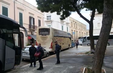 VIDEO. Trani turistica, tanti bus ma pochi parcheggi: caos e proteste in piazza Gradenigo