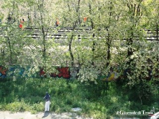 AGGIORNATO. Investimento mortale fra Trani e Bisceglie, circolazione ripresa dopo quattro ore