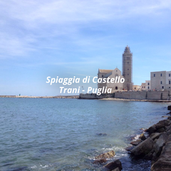 Sammontana, «sondaggi all'italiana»: tutti spingono Trani per la vittoria del concorso