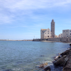 Sammontana, Legambiente e Trani: la spiaggia del castello sarà pulita sabato prossimo
