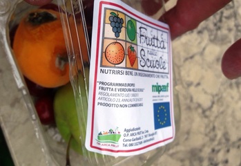 Noi con Salvini denuncia: 