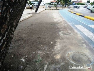 «Panettoni» rimossi sul lungomare di Trani, input dell'assessore: saranno sostituiti da rastrelliere