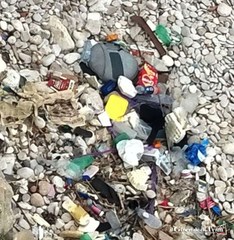 Lungomare di Trani e degrado, fra via Spalato e via Palermo si fa il bagno fra i rifiuti