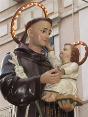 Trani religiosa, oggi è gran festa per Sant'Antonio da Padova. In programma anche la tradizionale processione