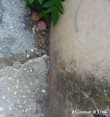 Ancora siringhe nei pressi del PalaAssi di Trani