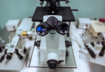 Registro tumori: fino al 2012, nella Barletta-Andria-Trani, un uomo su tre e una donna su quattro hanno rischiato di ammalarsi