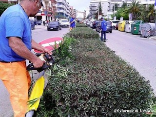 Verde pubblico e pulizia di villa e cimitero di Trani: cooperativa in difficoltà e gare di luglio e agosto dichiarate deserte