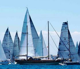 La vela d'altura ci riporta in Croazia: oggi, in piazza Quercia, la presentazione della Trani-Ragusa