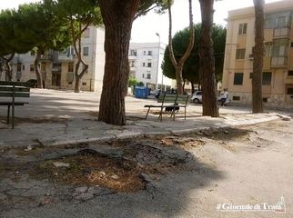 Trani, in piazza Kolbe è degrado sul degrado