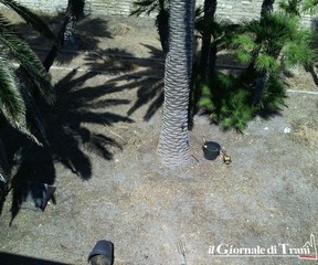 Il castello di Trani si fa bello anche «sotto»: dopo lunga attesa, ripulito il fossato