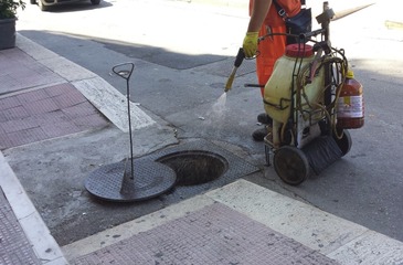 Emergenza blatte, continuano gli interventi lungo la fogna nera di Trani