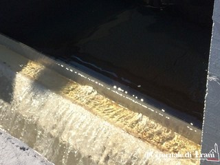 Depuratore di Trani, Santorsola guarda anche 