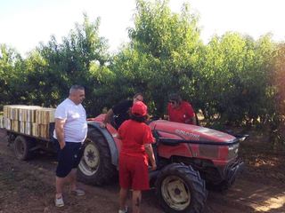 Diritti e salario contro il caporalato, nella Barletta-Andria-Trani la Flai Cgil girerà le campagne e le piazze per informare i braccianti