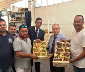 Trani-Andria, Bottaro rassicura i frontisti. Le dichiarazioni di Ventola, ex presidente della Bat