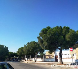 Trani, incidente mortale a Capirro: perde la vita un centauro 28enne, Raffaele Casale