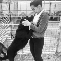 Trani, i volontari della Lega nazionale della difesa del cane sono al collasso e chiedono aiuto