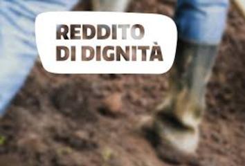 Reddito di dignità della regione Puglia, arrivano i rinforzi negli Ambiti